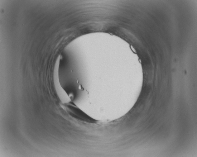 X0000065240035200603131114