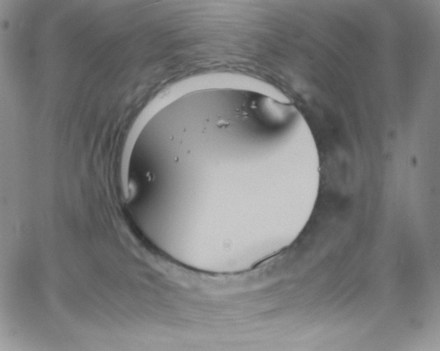 X0000065240039200603131114