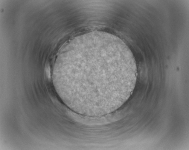 X0000065240042200603131114