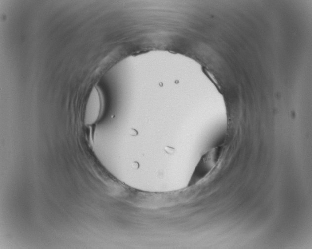 X0000065240045200603131114