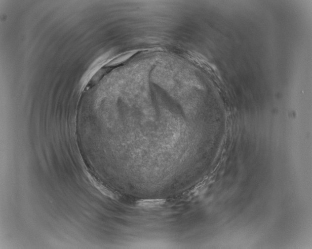 X0000065240051200603131113