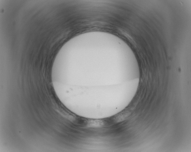 X0000065240077200603131113
