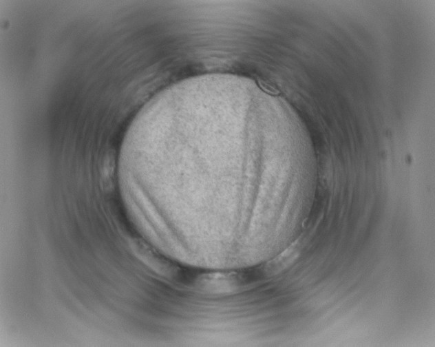 X0000065240082200603131113