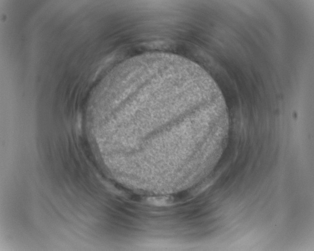 X0000065240089200603131114