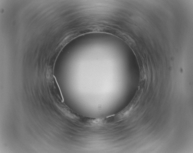 X0000065240092200603131114