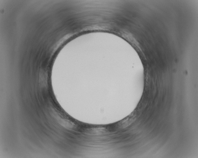 X0000065240108200603131113