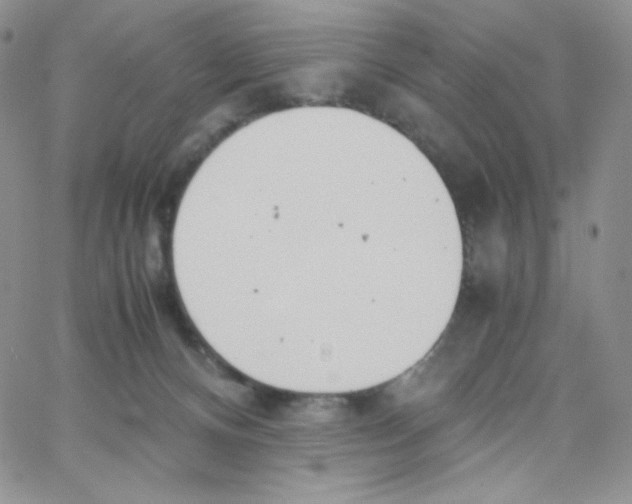 X0000065240128200603131112