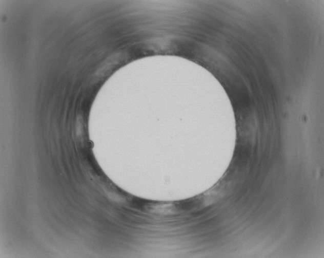 X0000065240132200603131112