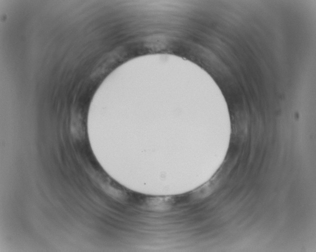X0000065240136200603131112