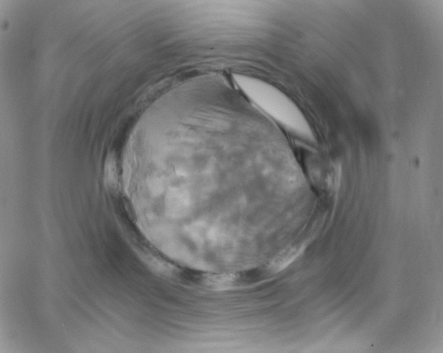 X0000065240143200603131112