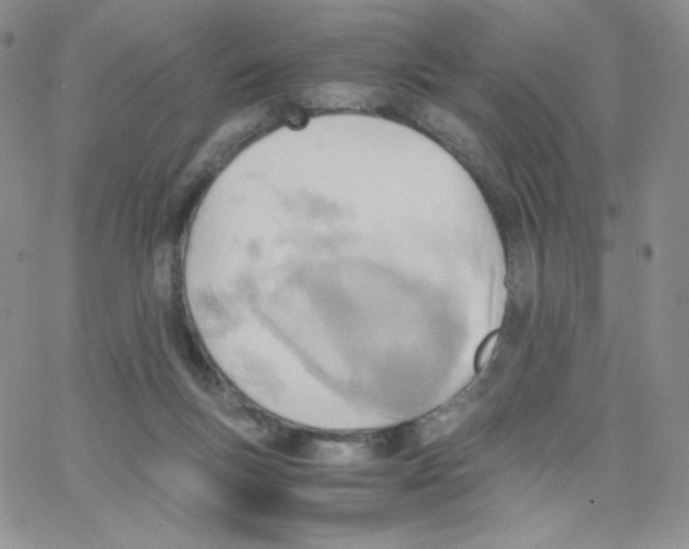X0000065240167200603131112