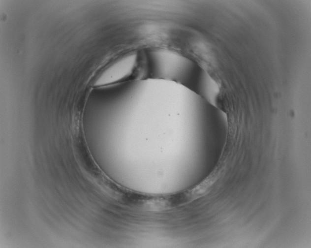 X0000065240168200603131112