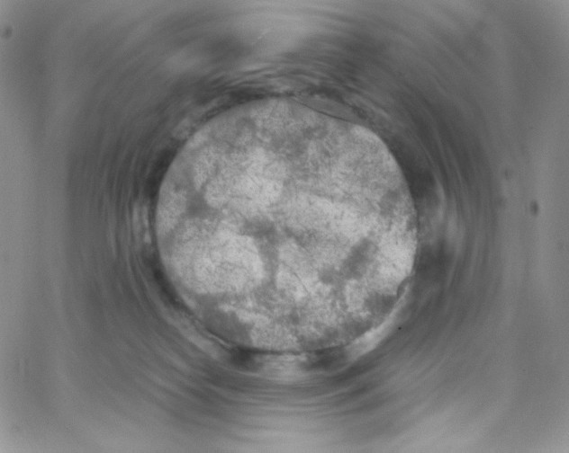 X0000065240182200603131112
