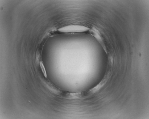 X0000065240188200603131112