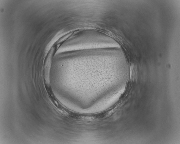 X0000065240195200603131111