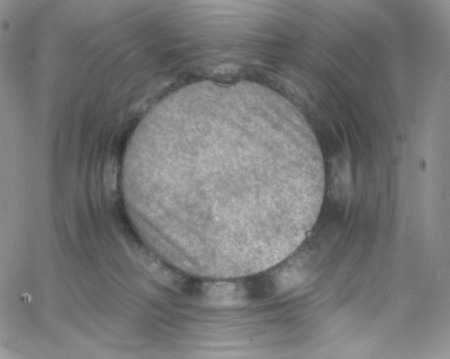 X0000065240230200603131111