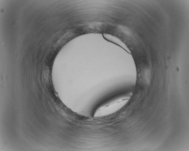 X0000065240231200603131111