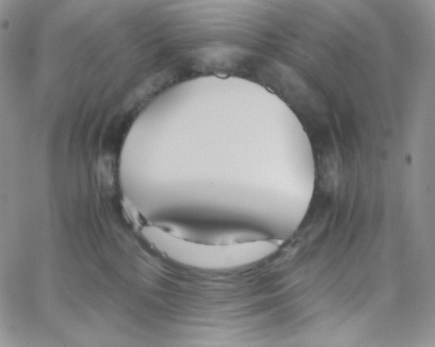 X0000065240232200603131111
