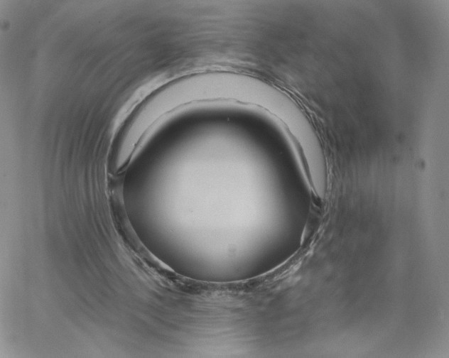 X0000065240244200603131110