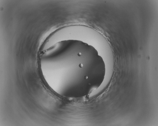 X0000065240248200603131110