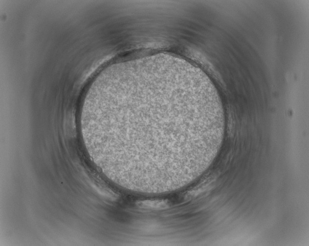 X0000065240251200603131110