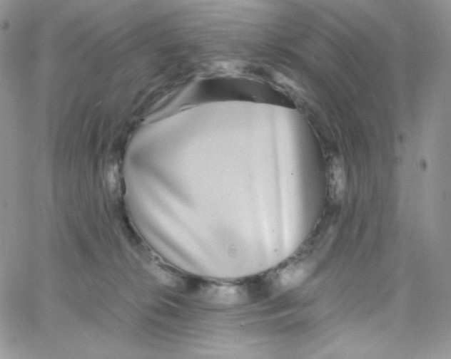 X0000065240276200603131110