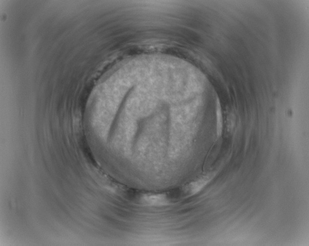X0000065240283200603131110