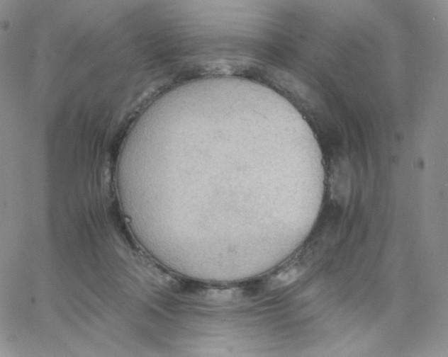 X0000065240314200603131109