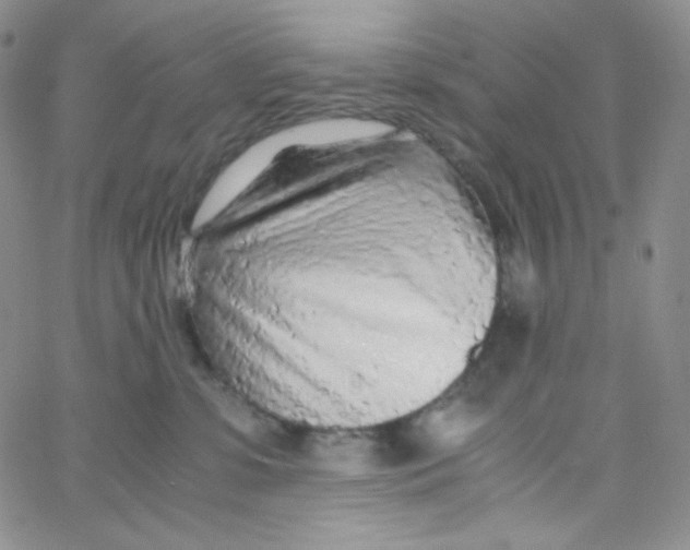 X0000065240331200603131109