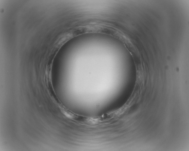 X0000065240333200603131109