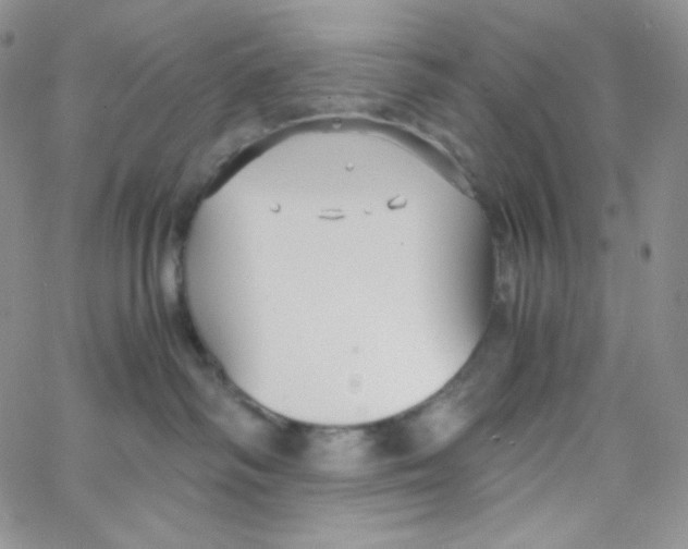 X0000065240334200603131109