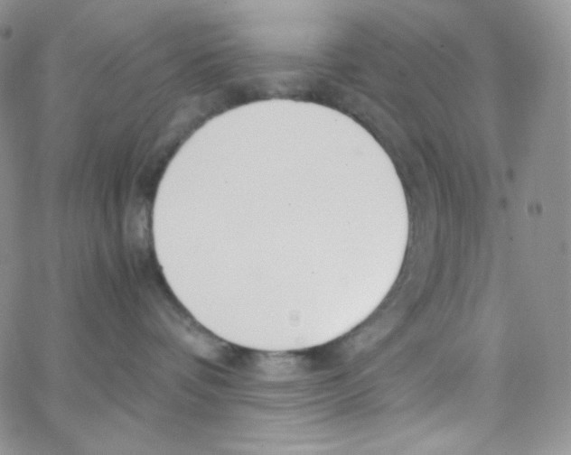 X0000065240336200603131109