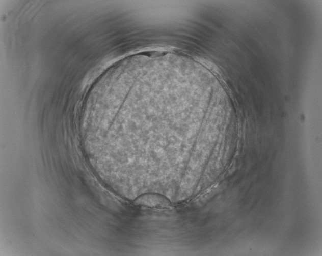 X0000065240337200603131108