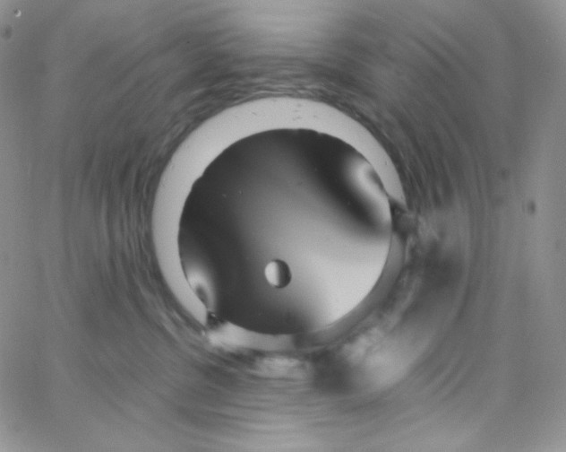 X0000065240380200603131109