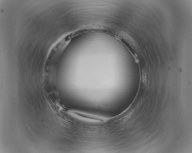 X0000065240388200603131108