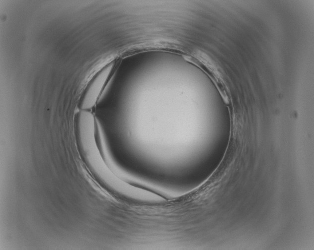 X0000065240389200603131108
