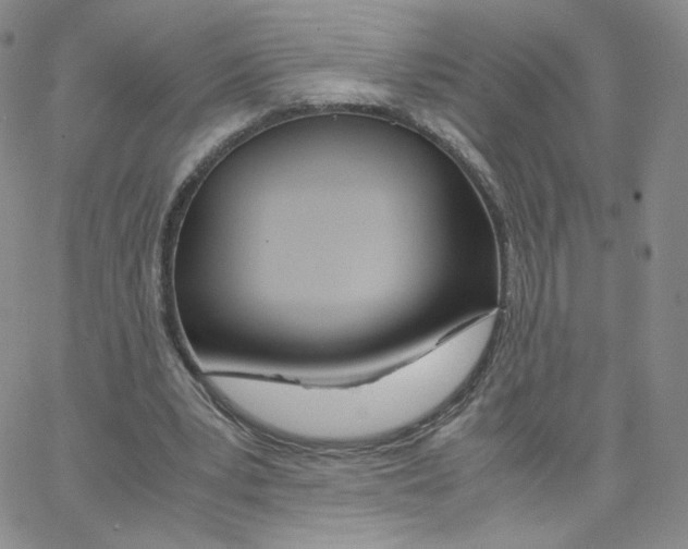 X0000065240391200603131108