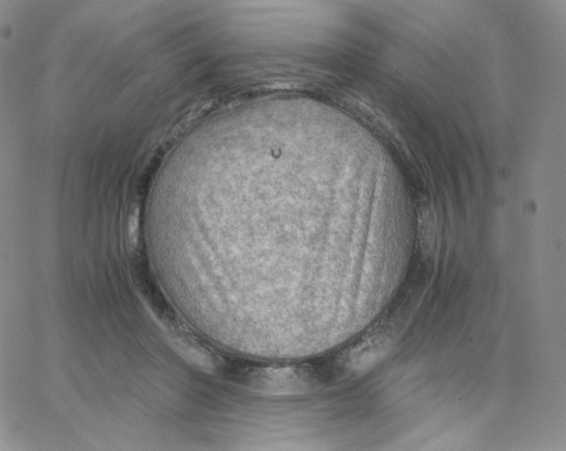 X0000065240406200603131108