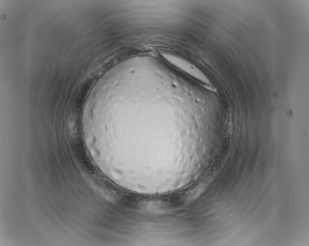X0000065240408200603131108
