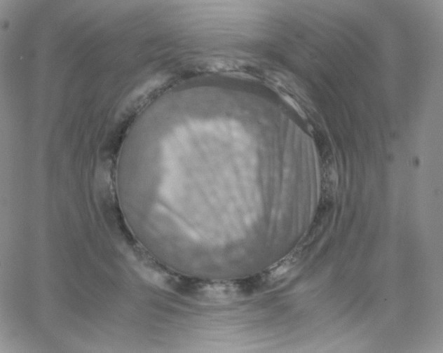 X0000065240415200603131108
