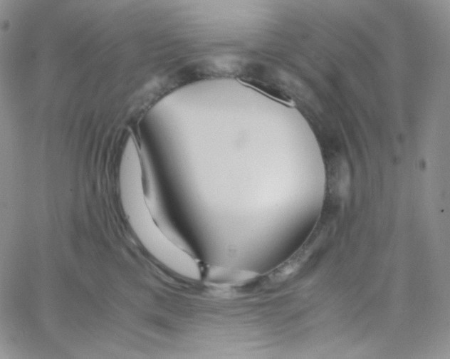 X0000065240425200603131108
