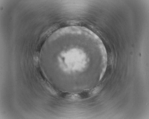 X0000065240427200603131108
