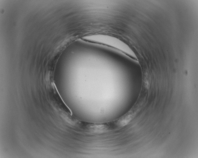 X0000065240428200603131108