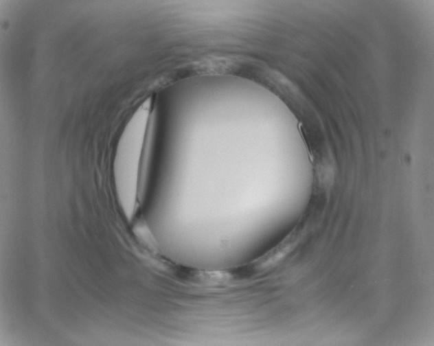 X0000065240429200603131108