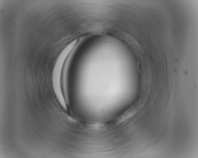 X0000065240432200603131107