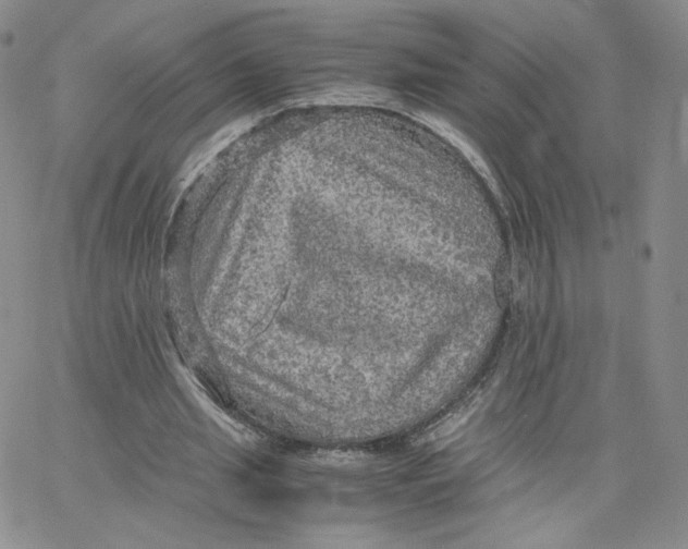 X0000065240437200603131107