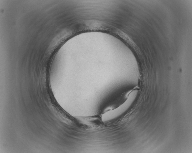 X0000065240442200603131107