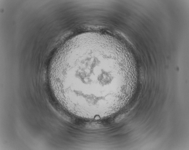 X0000065240451200603131107