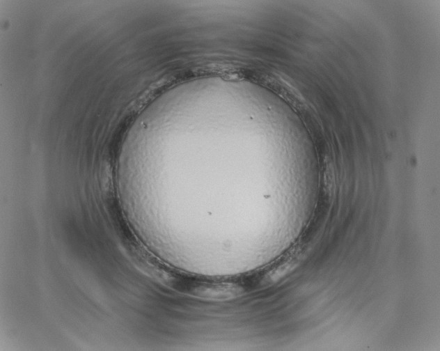 X0000065240459200603131107