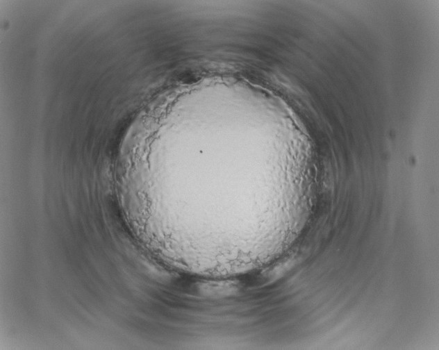 X0000065240465200603131107